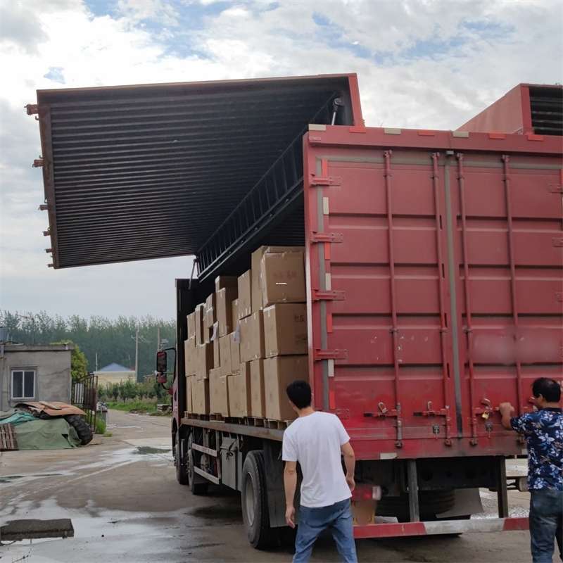 彭山区扎囊县：物流专线的高效货运之旅